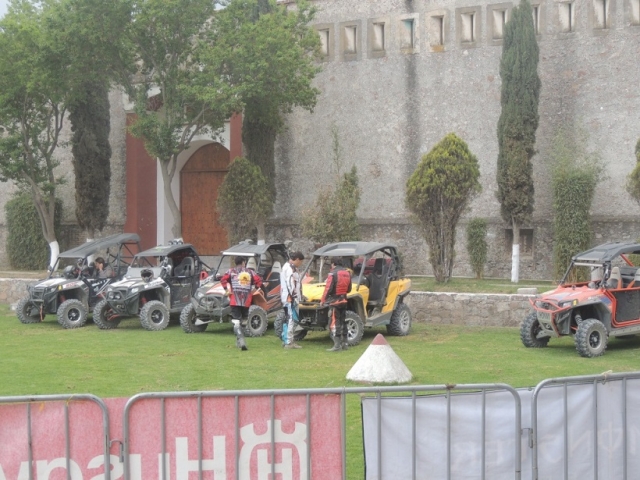  The buggies 